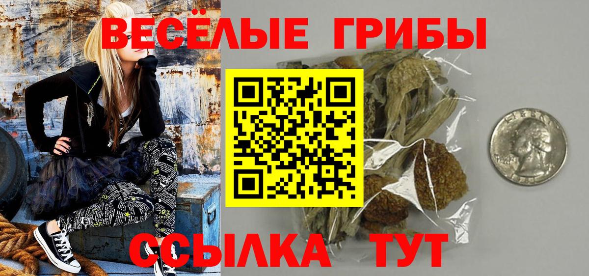 Махачкала  купить  цена  Вход с VPN  Галлюциногенные грибы GOLDEN TEACHER 