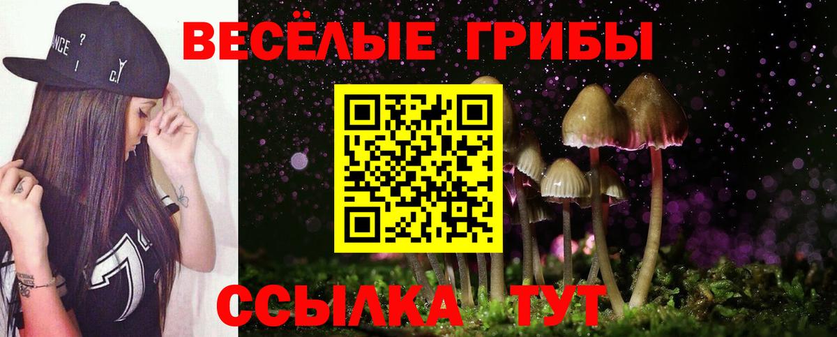Псилоцибиновые грибы Psilocybine cubensis Махачкала